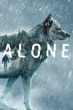 Stagione 11