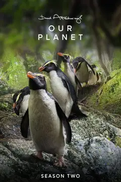 Il nostro pianeta II