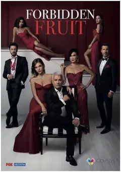 Stagione 4