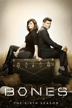 Stagione 6