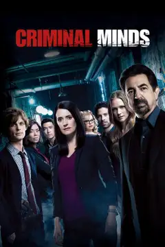 Stagione 13