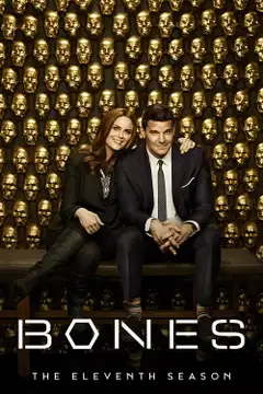 Stagione 11