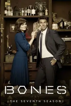 Stagione 7