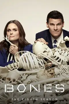 Stagione 8
