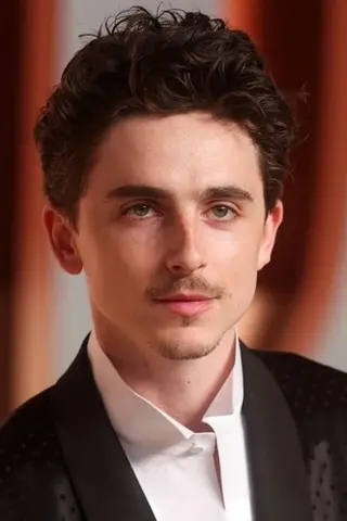 Timothée Chalamet - Filmography • Carriera