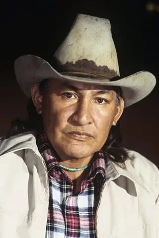 Will Sampson - Filmography • Carriera