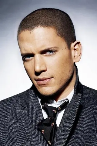 Wentworth Miller - Filmography • Carriera