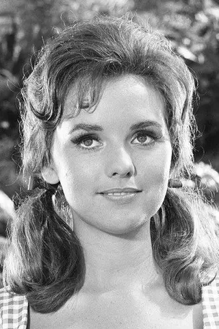 Dawn Wells - Filmography • Carriera