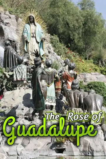 La rosa de Guadalupe Streaming Ita Altadefinizione