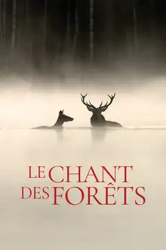 Film Il canto della foresta Ita Completo Senza Attese | Altadefinizione