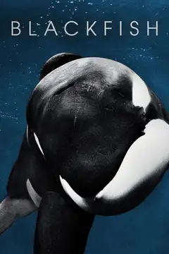 Film Blackfish Ita Completo Senza Attese | Altadefinizione
