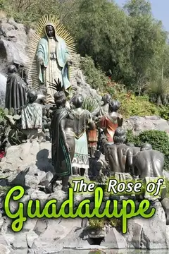 La rosa de Guadalupe Streaming Ita Altadefinizione