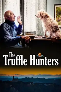 Film The Truffle Hunters Ita Completo Senza Attese | Altadefinizione