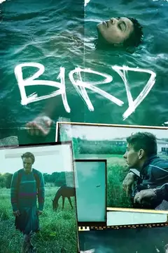 Film Bird Ita Completo Senza Attese | Altadefinizione