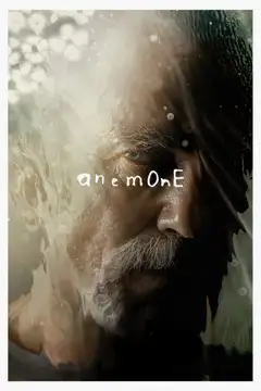 Film Anemone Ita Completo Senza Attese | Altadefinizione