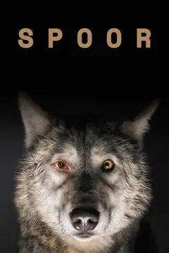 Film Spoor - Il Sentiero Ita Completo Senza Attese | Altadefinizione